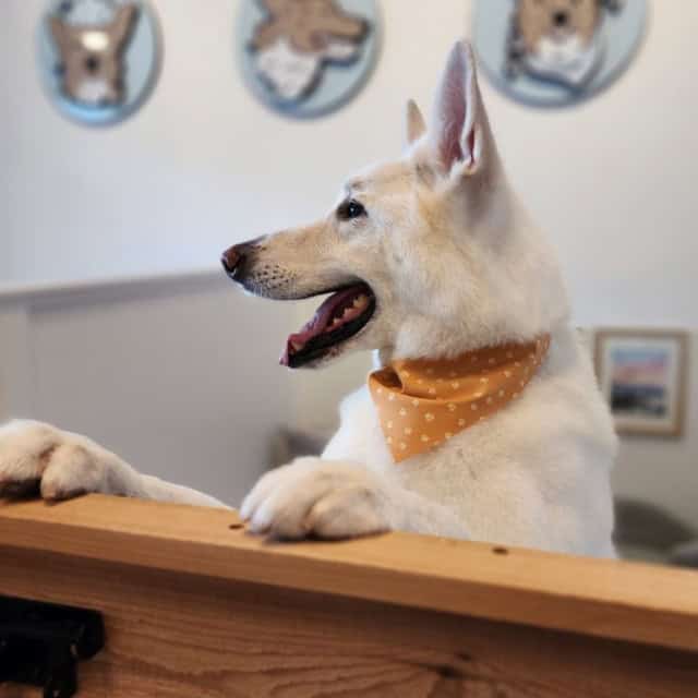 20230228_162225 (Medium)