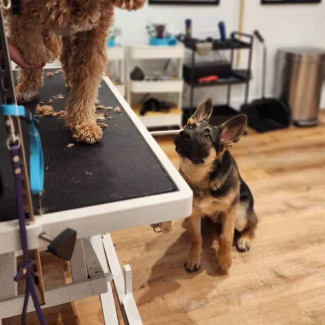 20230314_091539 (Custom)