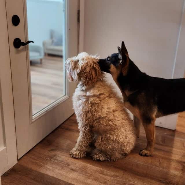 20230314_122509 (Medium)