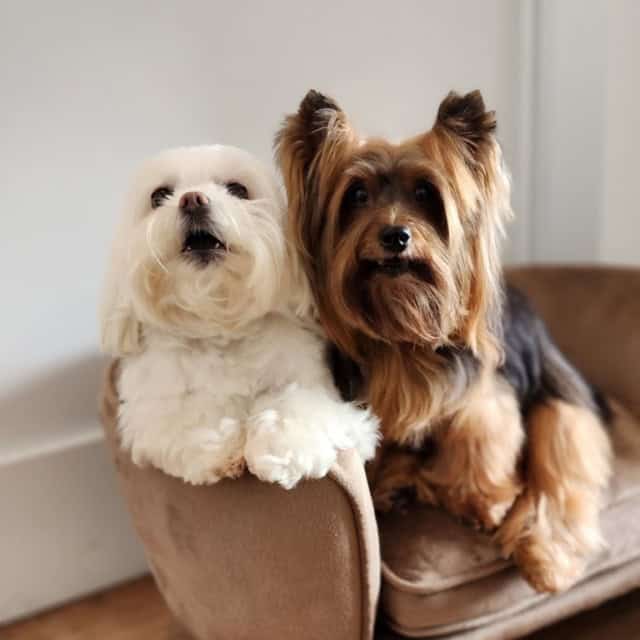 20230315_152225 (Medium)