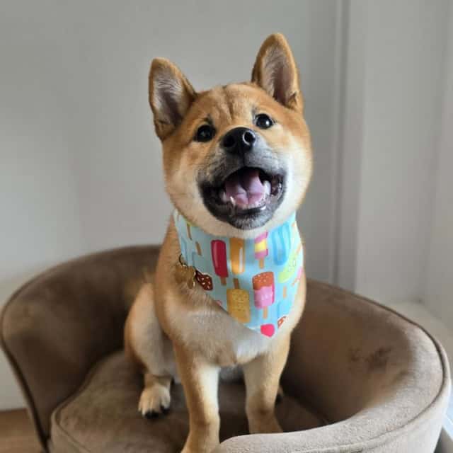 20240721_154334 (Medium)