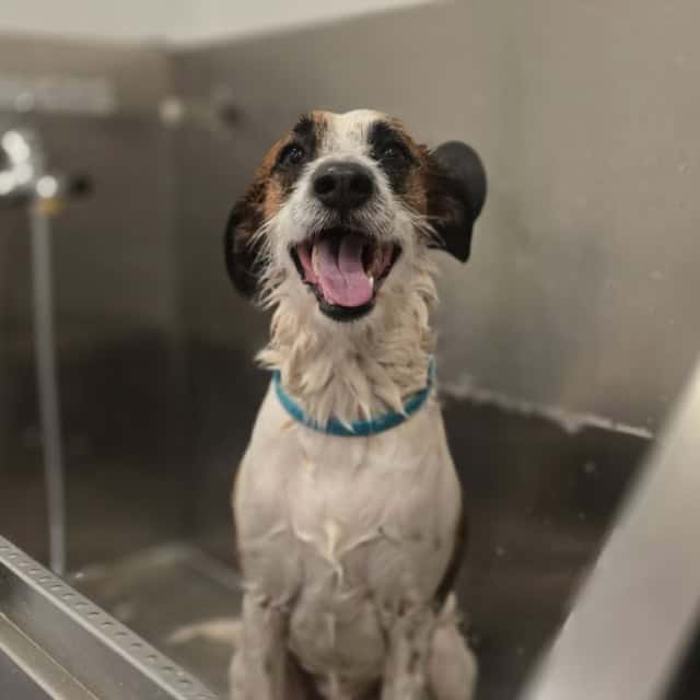 20250618_102936 (Medium)