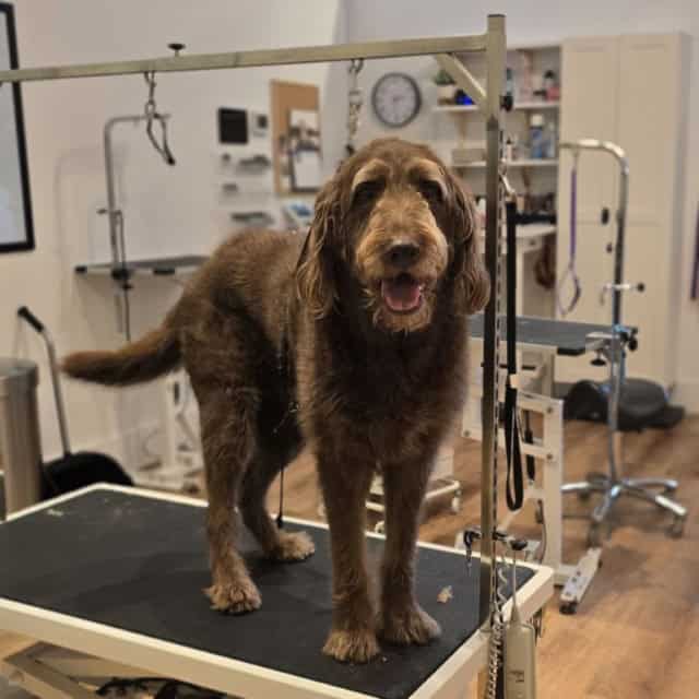 20250716_143019 (Medium)