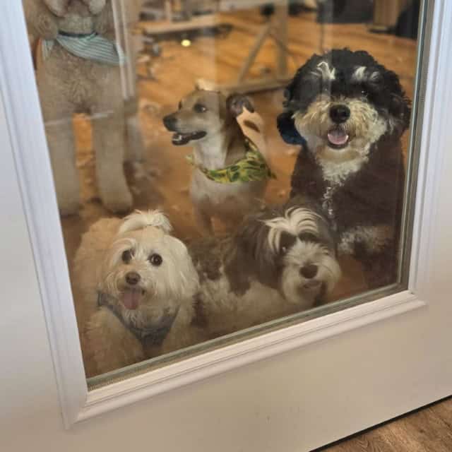 20250808_120554 (Medium)