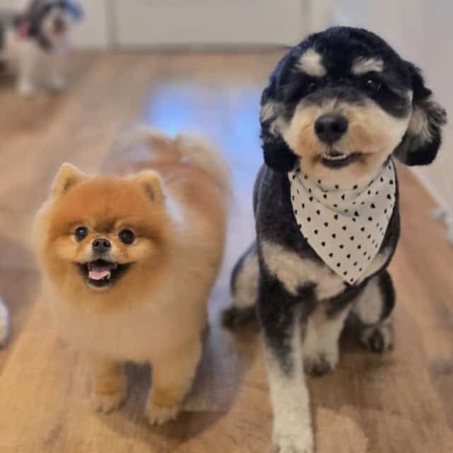 20250808_144639 (Medium)