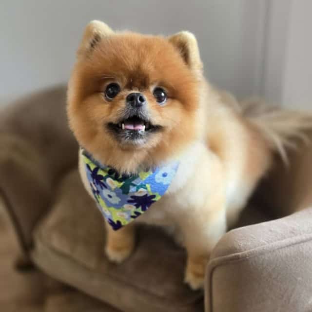 20250808_152620 (Medium)