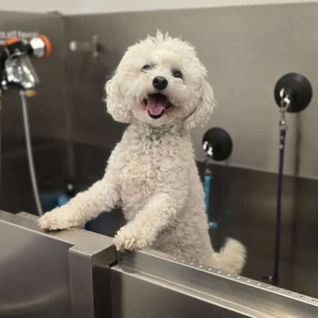 20250816_100721 (Medium)