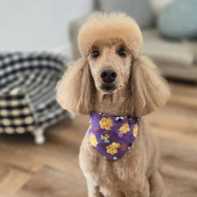 20250819_123537 (Medium)