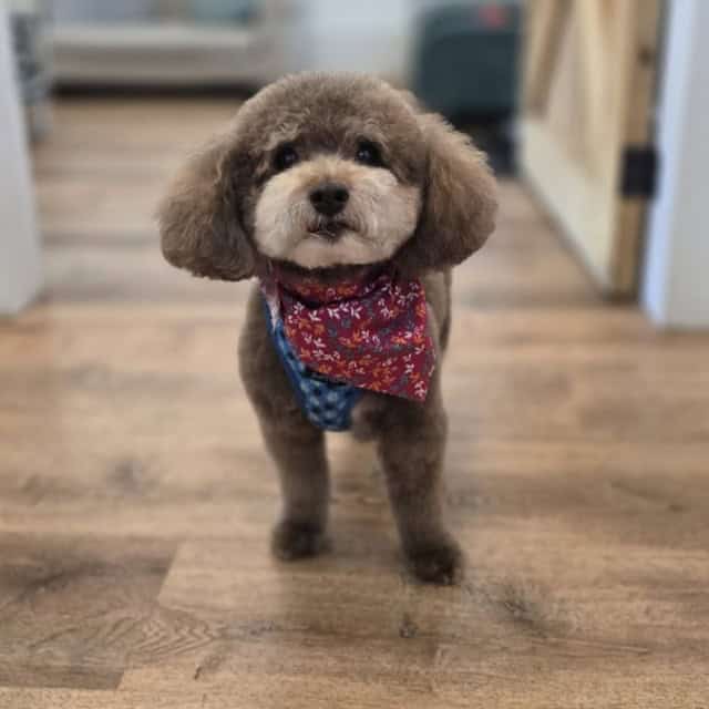 20250820_152411 (Medium)