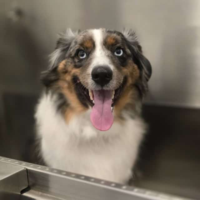 20250906_123415 (Medium)