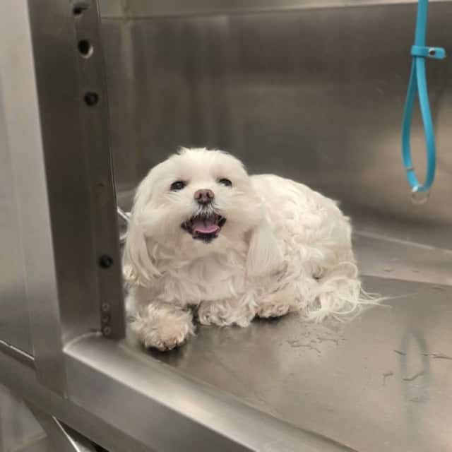 20250910_113203 (Medium)