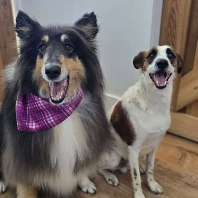 20251015_134818 (Medium)