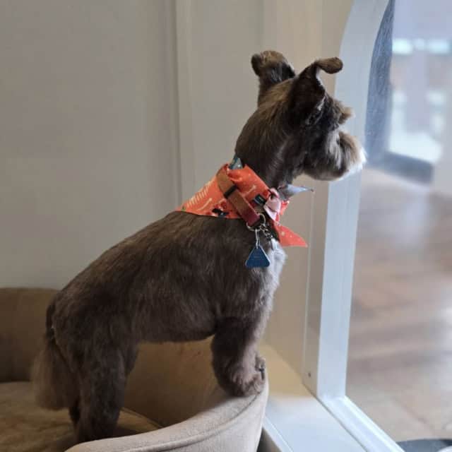 20251022_124338 (Medium)