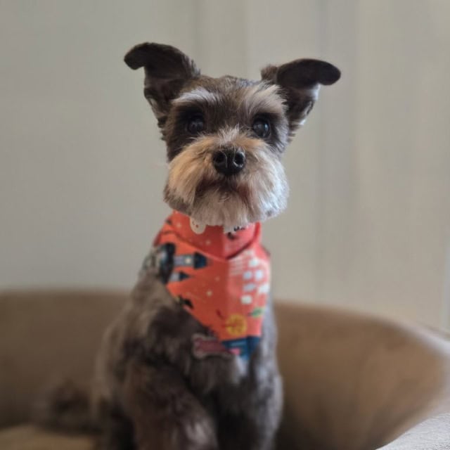 20251022_124422 (Medium)