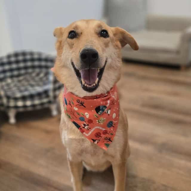 20251025_153319 (Medium)