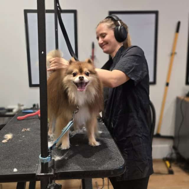 20251030_111702 (Custom)