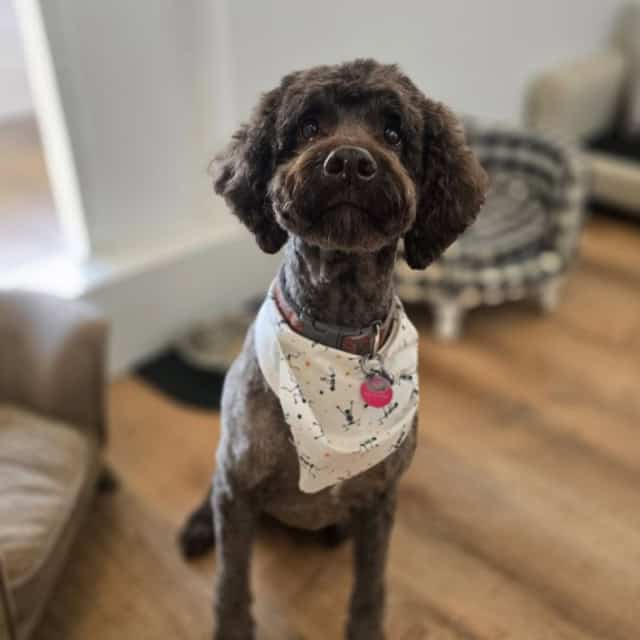 20251030_150818 (Medium)