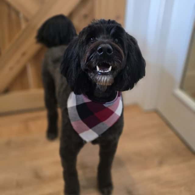 20251101_104136 (Medium)