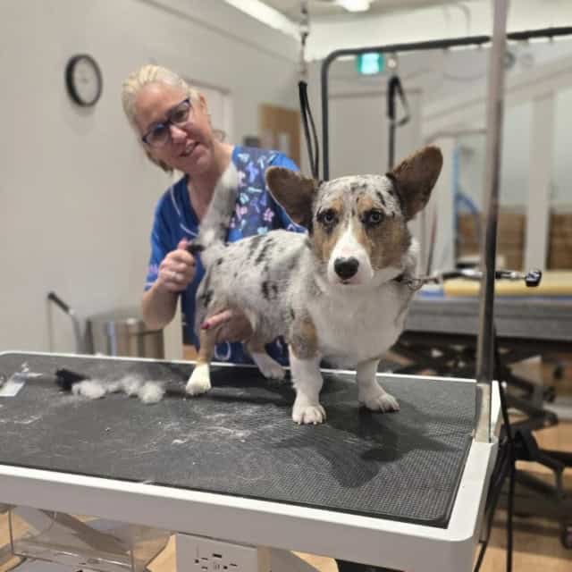 20251101_104303 (Medium)