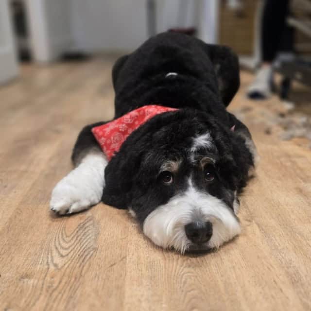 20251104_124603 (Medium)