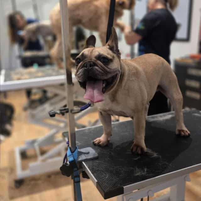 20251104_124613 (Medium)