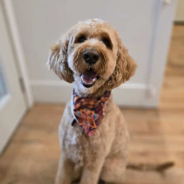 20251104_134721 (Medium)