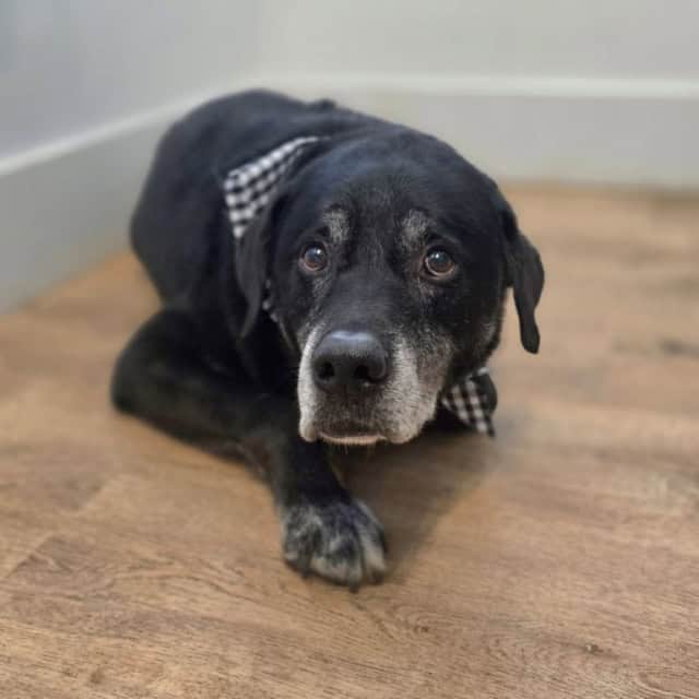 20251105_105502 (Medium)