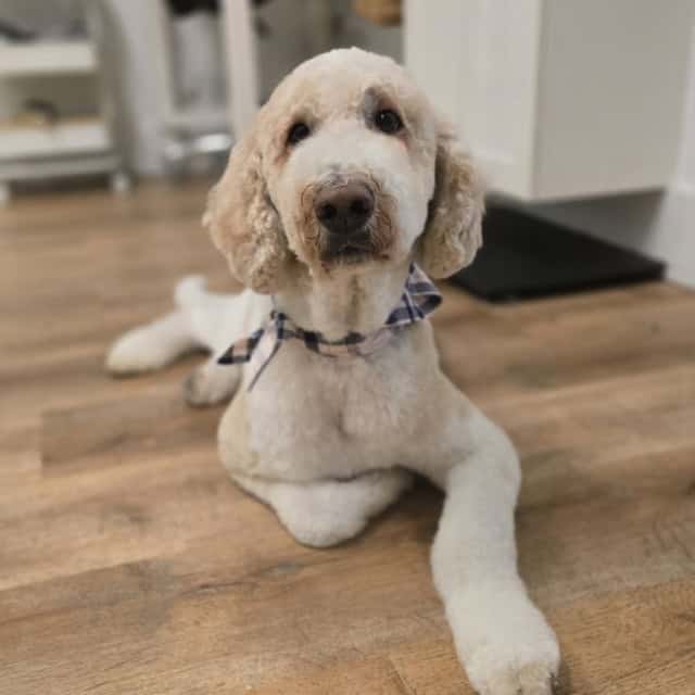 20251106_115328 (Medium)