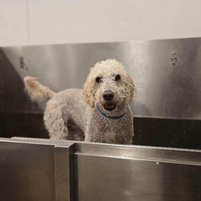 20251106_120910 (Medium)