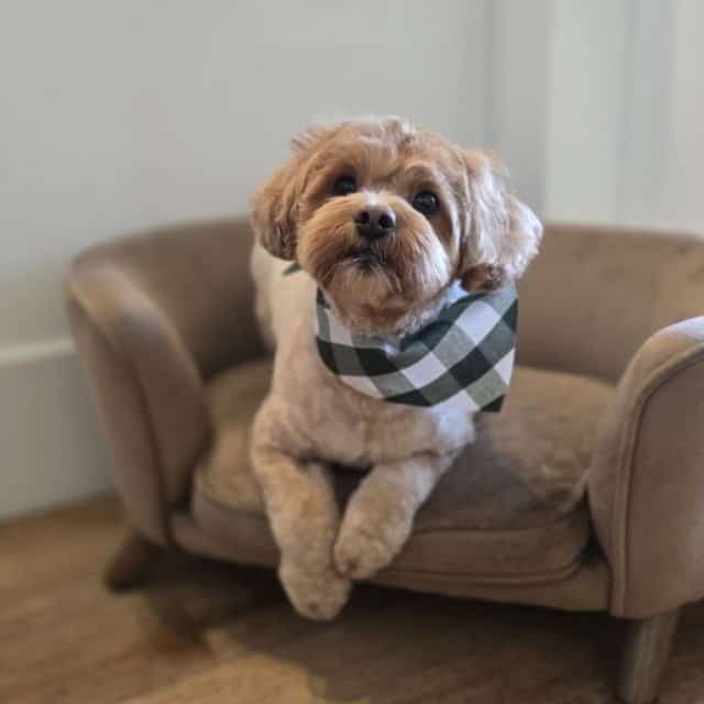 20251106_141613 (Medium)