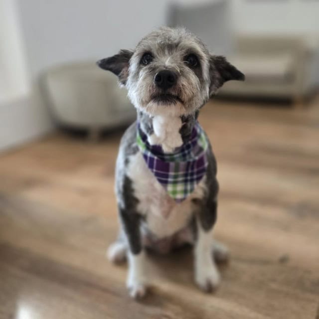 20251107_130658 (Medium)