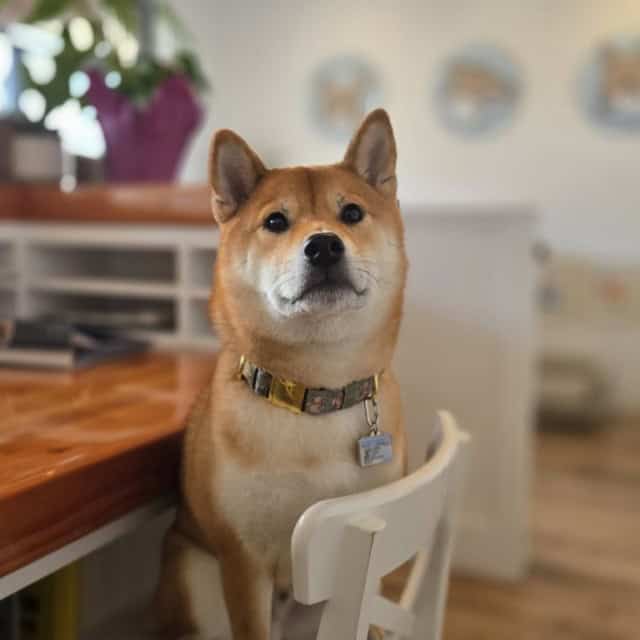 20251107_133819 (Medium)