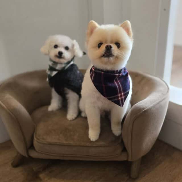 20251107_135936 (Medium)