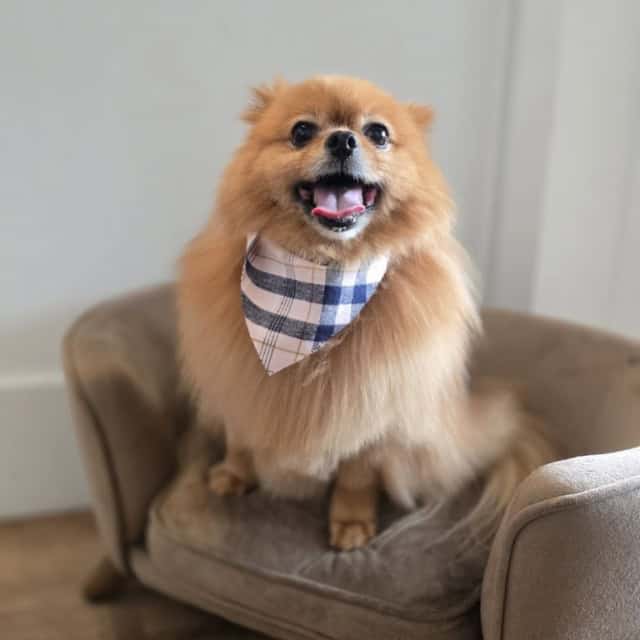 20251108_135454 (Medium)