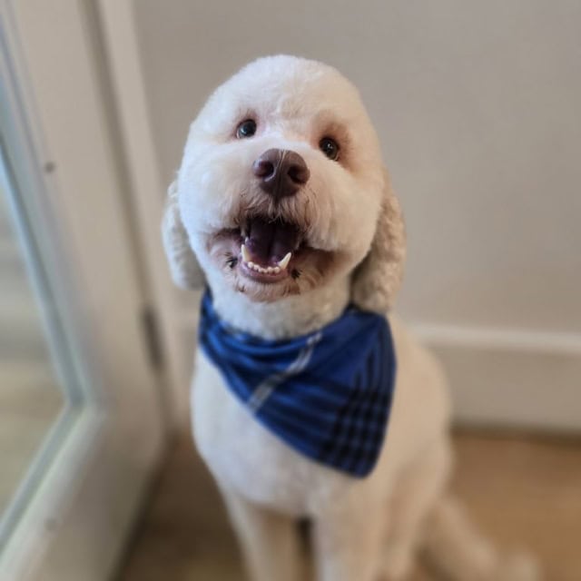 20251108_142219(0) (Medium)