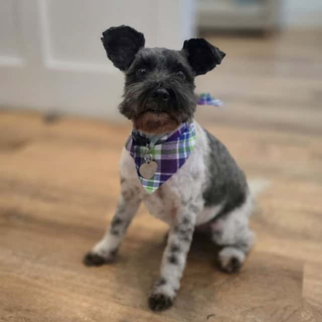 20251108_152520 (Medium)